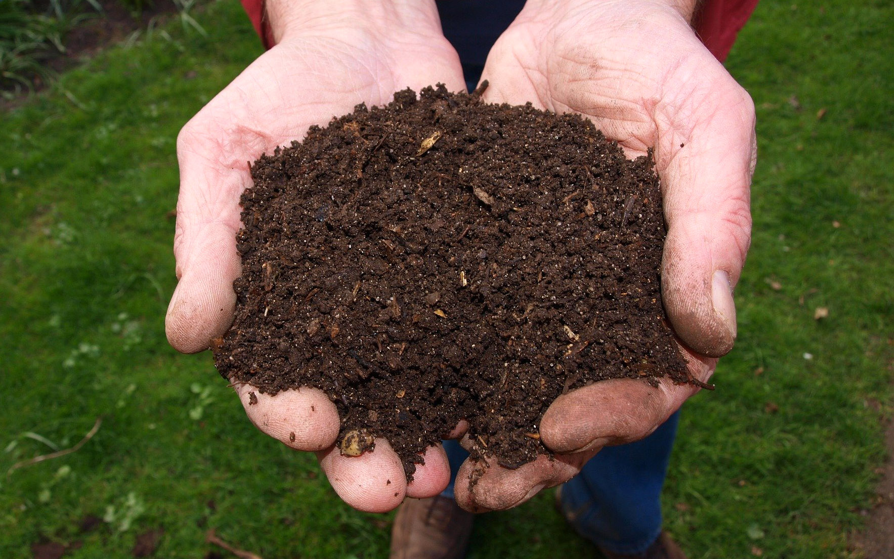 Amending Your Soil